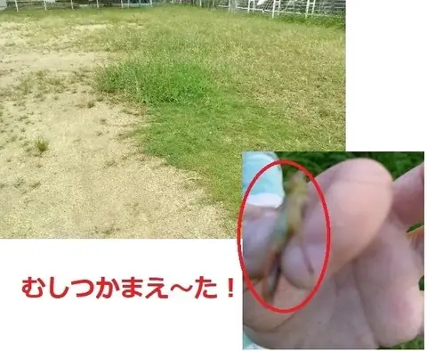 Chou Chou 教室ブログより