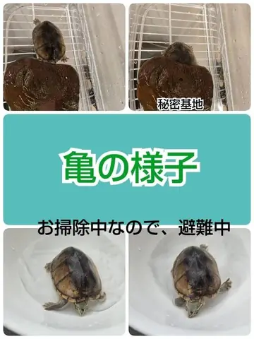 はなまる桜ノ宮 教室ブログより